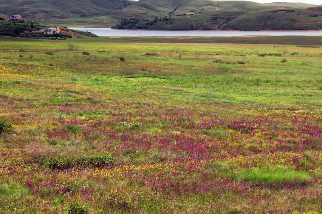 云南避暑旅游好去处推荐,云南避暑有哪些景点好玩