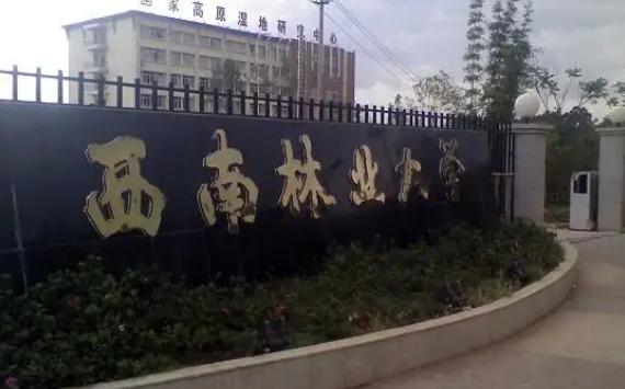 云南大学是一所双一流吗,云南大学一所重点的双一流高校