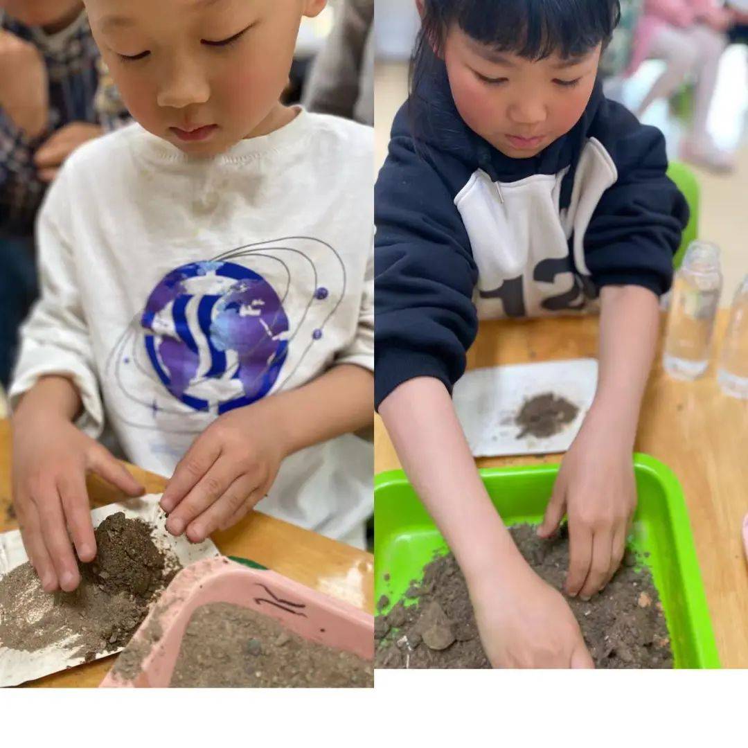 科学探索幼儿园小实验,建德诺亚舟幼儿园