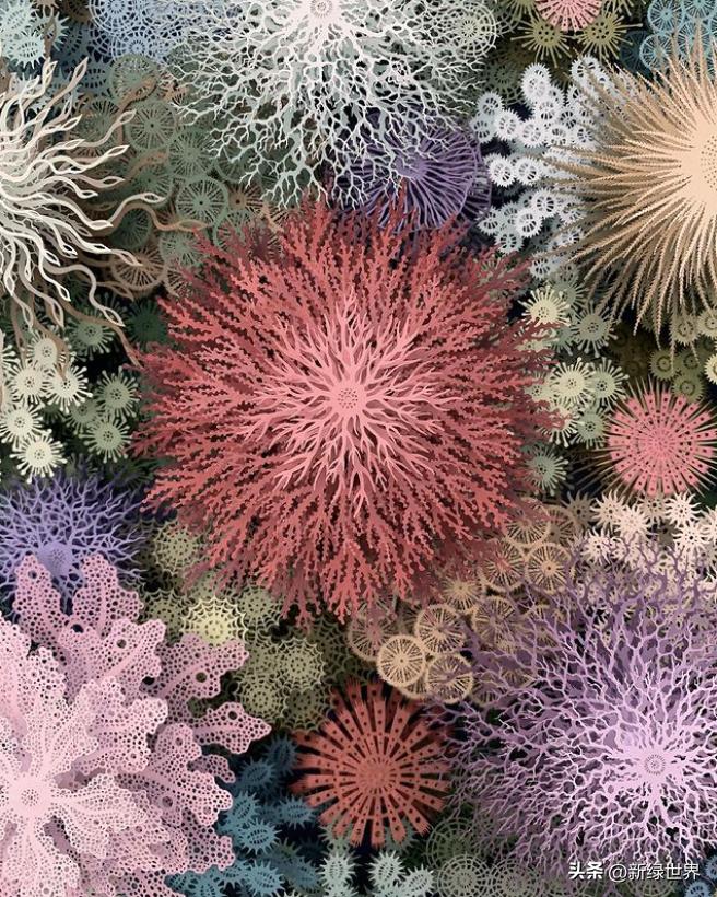 纸艺作品绘画,千变万化的纸艺术作品