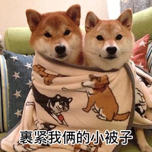 羽绒被可以干洗吗,不可水洗不可干洗的羽绒被怎么洗