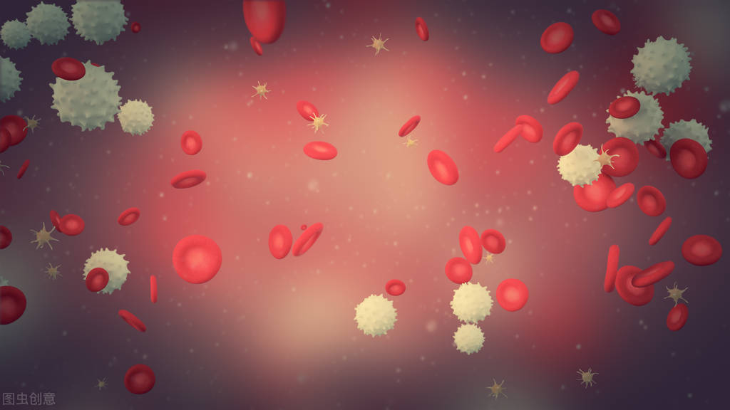 一文教会你看懂血检报告