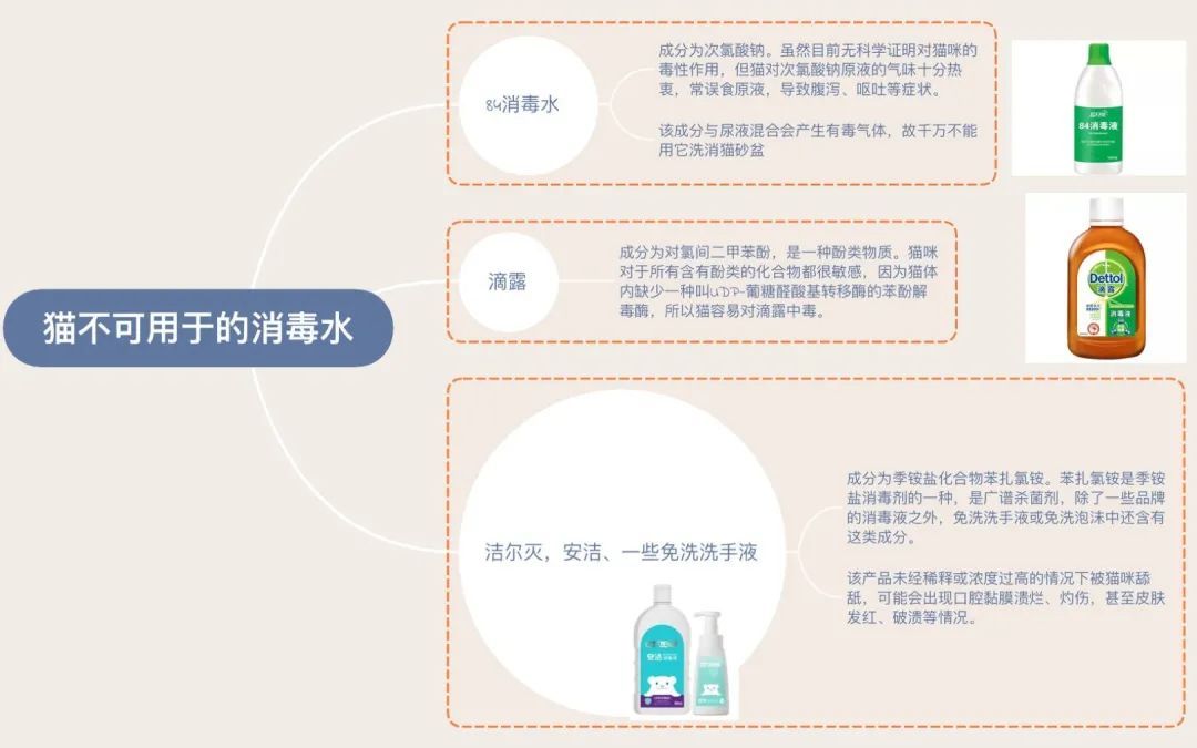 与猫共处的日子,如何给猫屋消毒