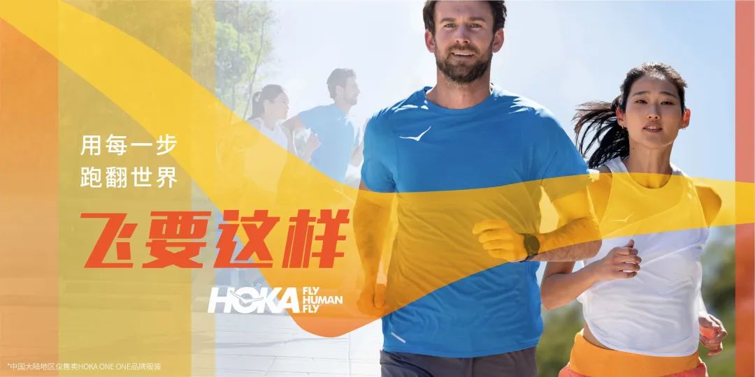 从阿尔卑斯山脉滑雪下来,从阿尔卑斯山飞下去