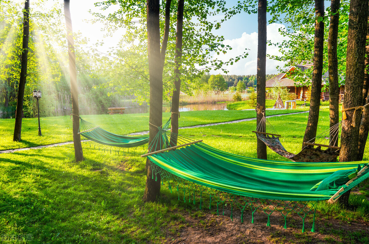 明天入伏吃什么食物,明天出伏早餐吃什么
