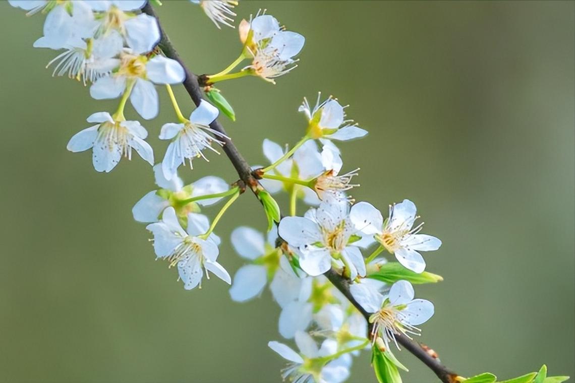 色彩心理学真的可以看出一个人吗,色彩看透女人性格