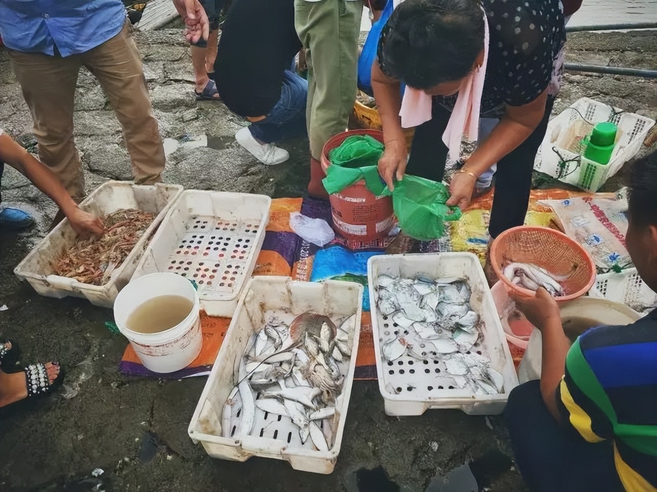 洞头海山民宿,温州洞头岛海景民宿