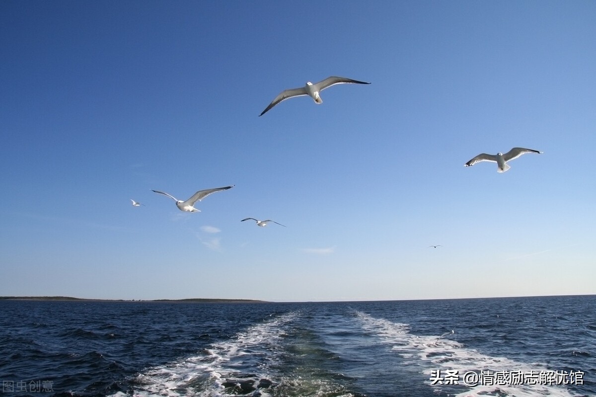 母亲的无私付出,母亲养育之恩的故事