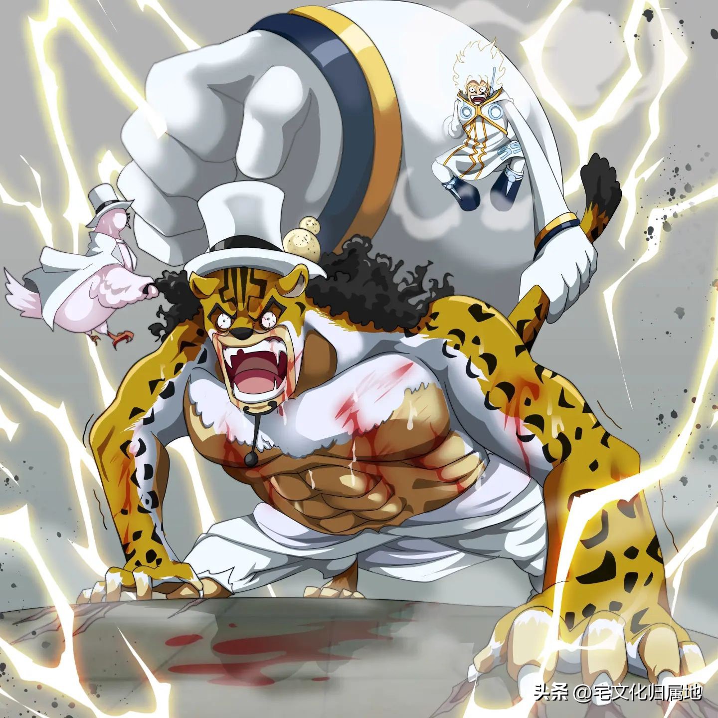 海贼王第1039话情报路飞,海贼王1076话情报路奇