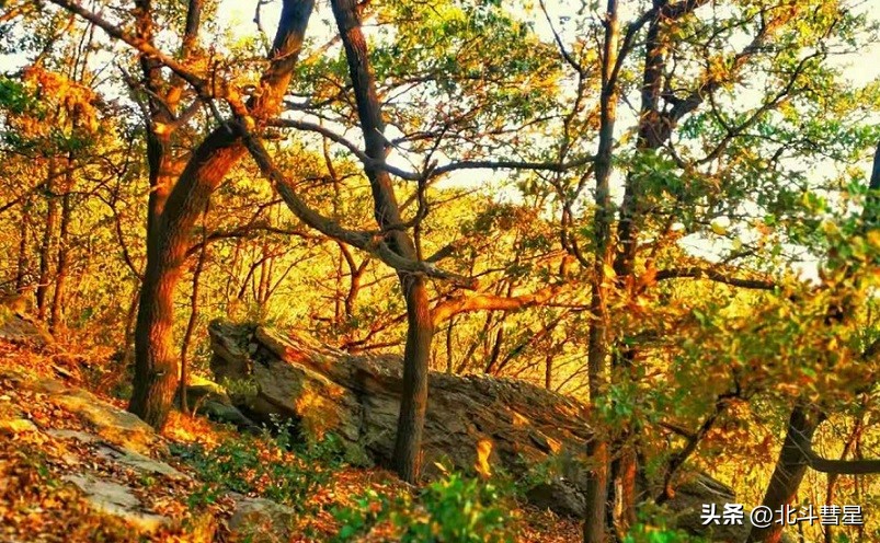 连云港十大必玩景点,连云港旅游十大必去景点