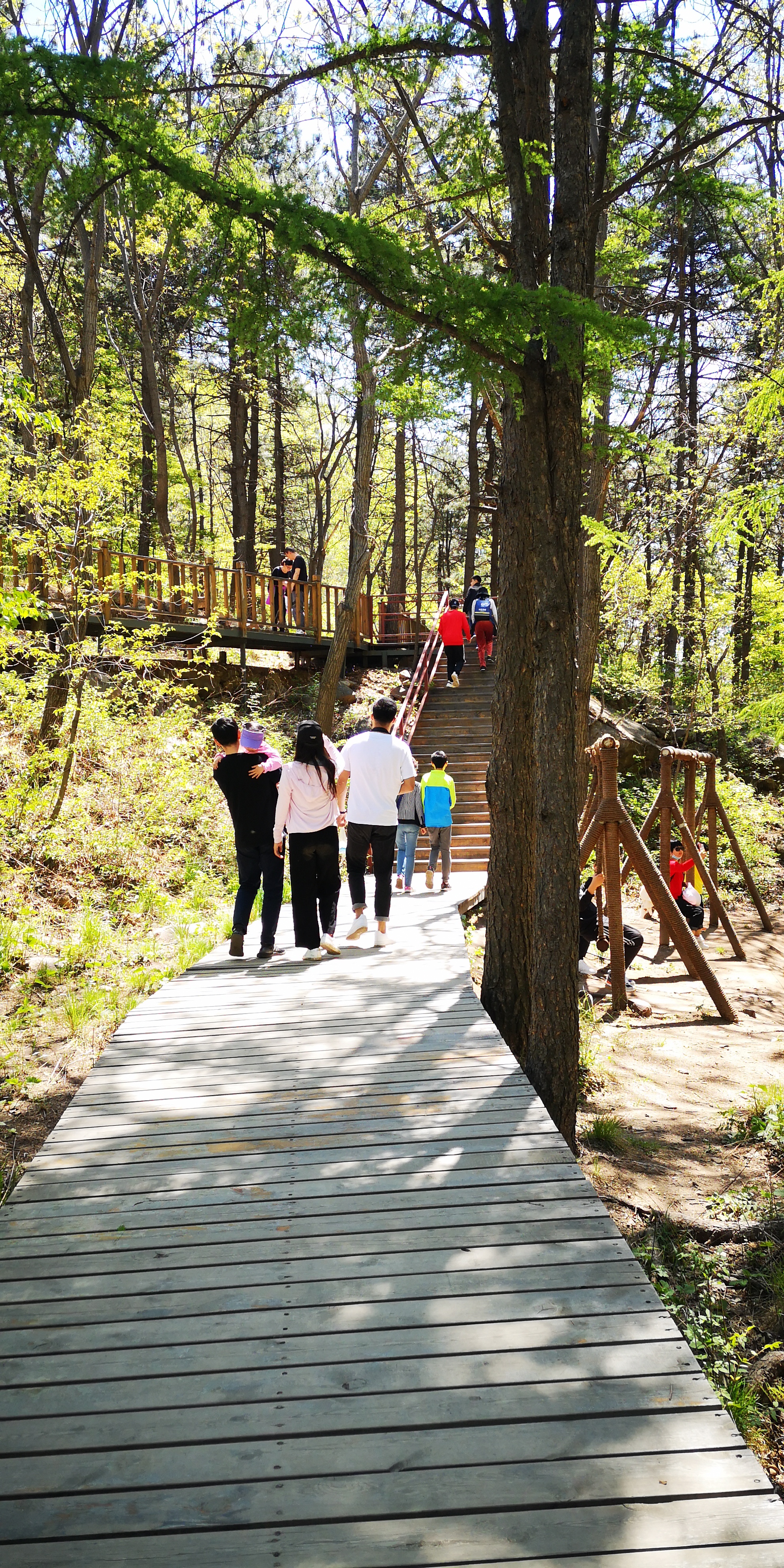天津梨木台景区值得夏天去的地方,天津蓟县梨木台风景区路线