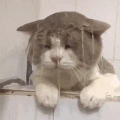 房贷利率下调10个基点房贷降多少,房贷利率降20个基点100万差多少钱