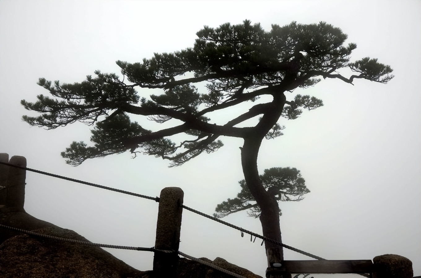 黄山慈光阁到玉屏楼步行多久,爬黄山从慈光阁开始的攻略