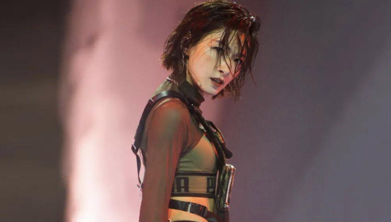 台湾艺人林心如近况 (林心如晒素颜却因一个字惹众怒)