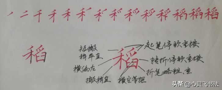小学生练什么字体书写会比较快,0基础练字4步轻松写出漂亮字体