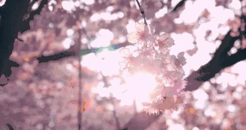 资生堂复古正红色口红,资生堂口红173试色