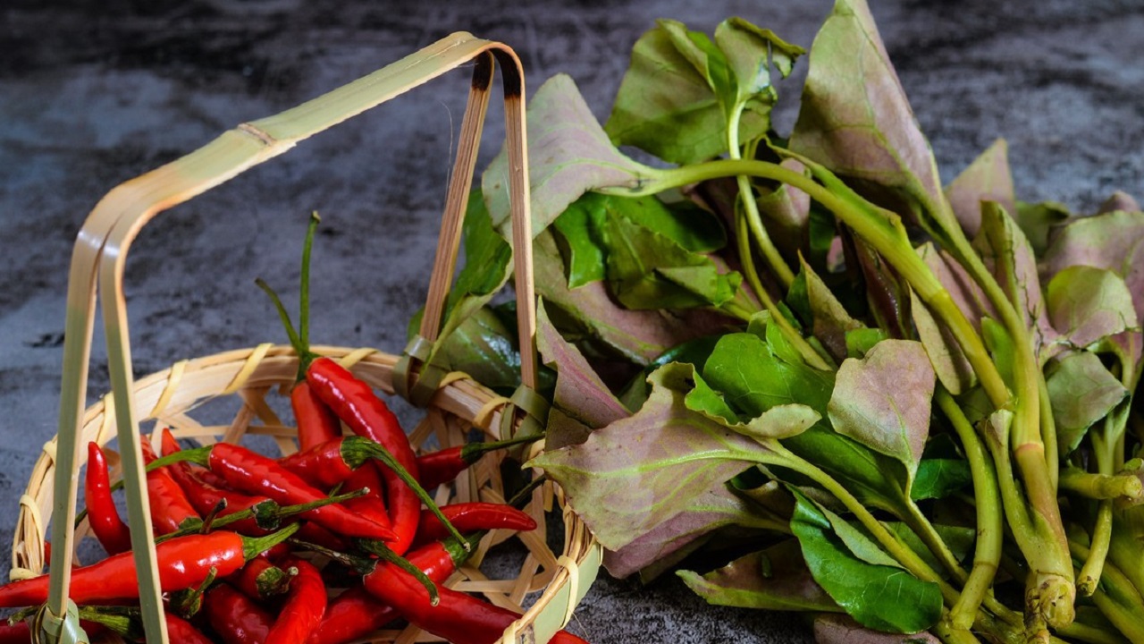 鱼腥草含“马兜铃酸”,有肾毒还致癌?真相你可能不太了解