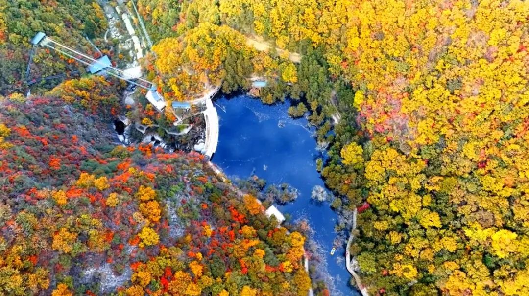 洛阳网红打卡地推荐,洛阳又一个网红打卡地