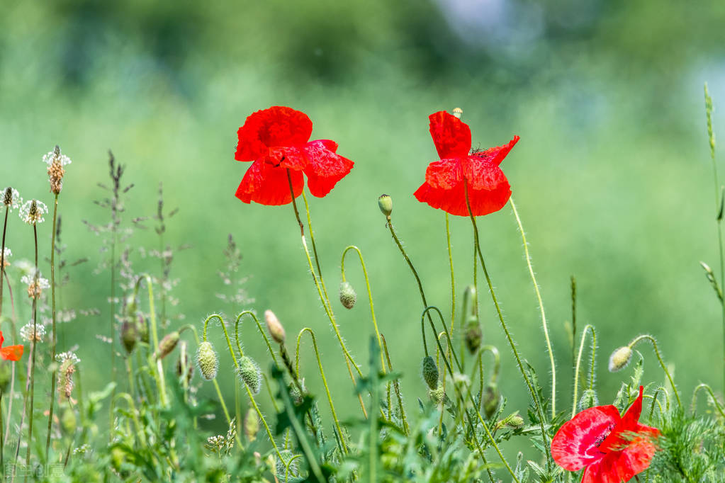 超伤感的神仙文案句句说到心坎,个性签名文案高级感温柔文艺短句