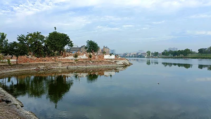 淮阳荷花节什么时间最好看,淮阳看荷花节开幕