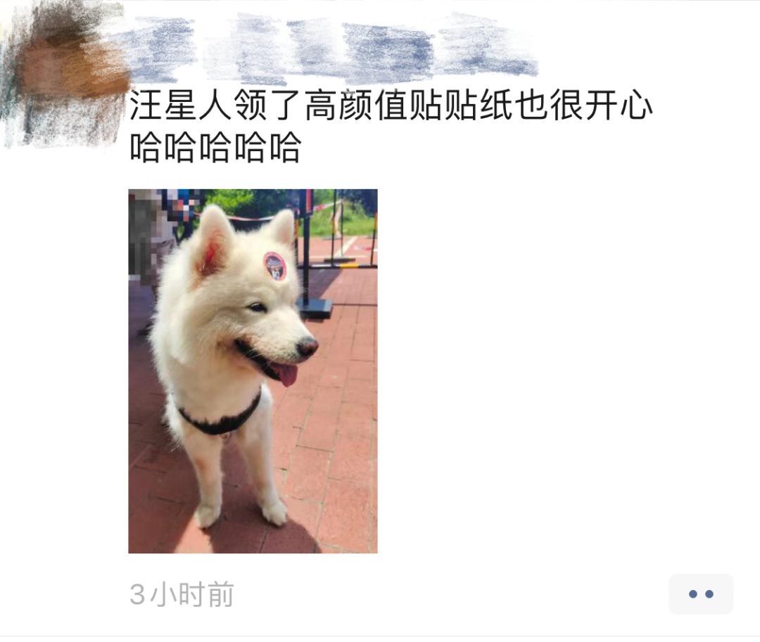 火出圈了！全民晒“贴贴”，海口新时尚