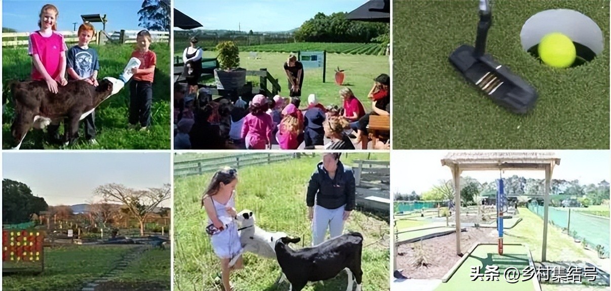 奇异果之都蒂普基地形图,新西兰奇异果小镇蒂普基
