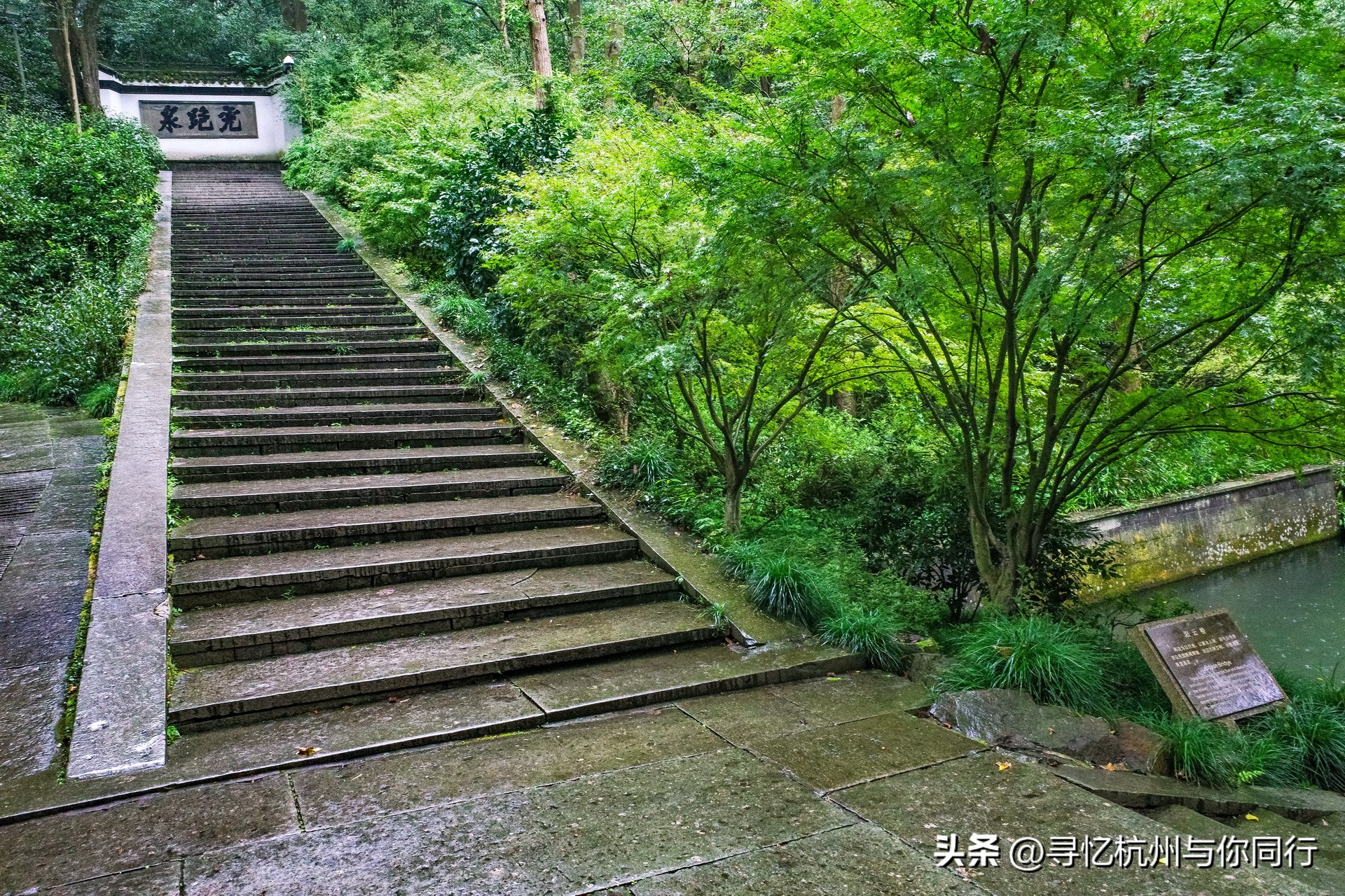 杭州三大景观古建筑,杭州三大名茶