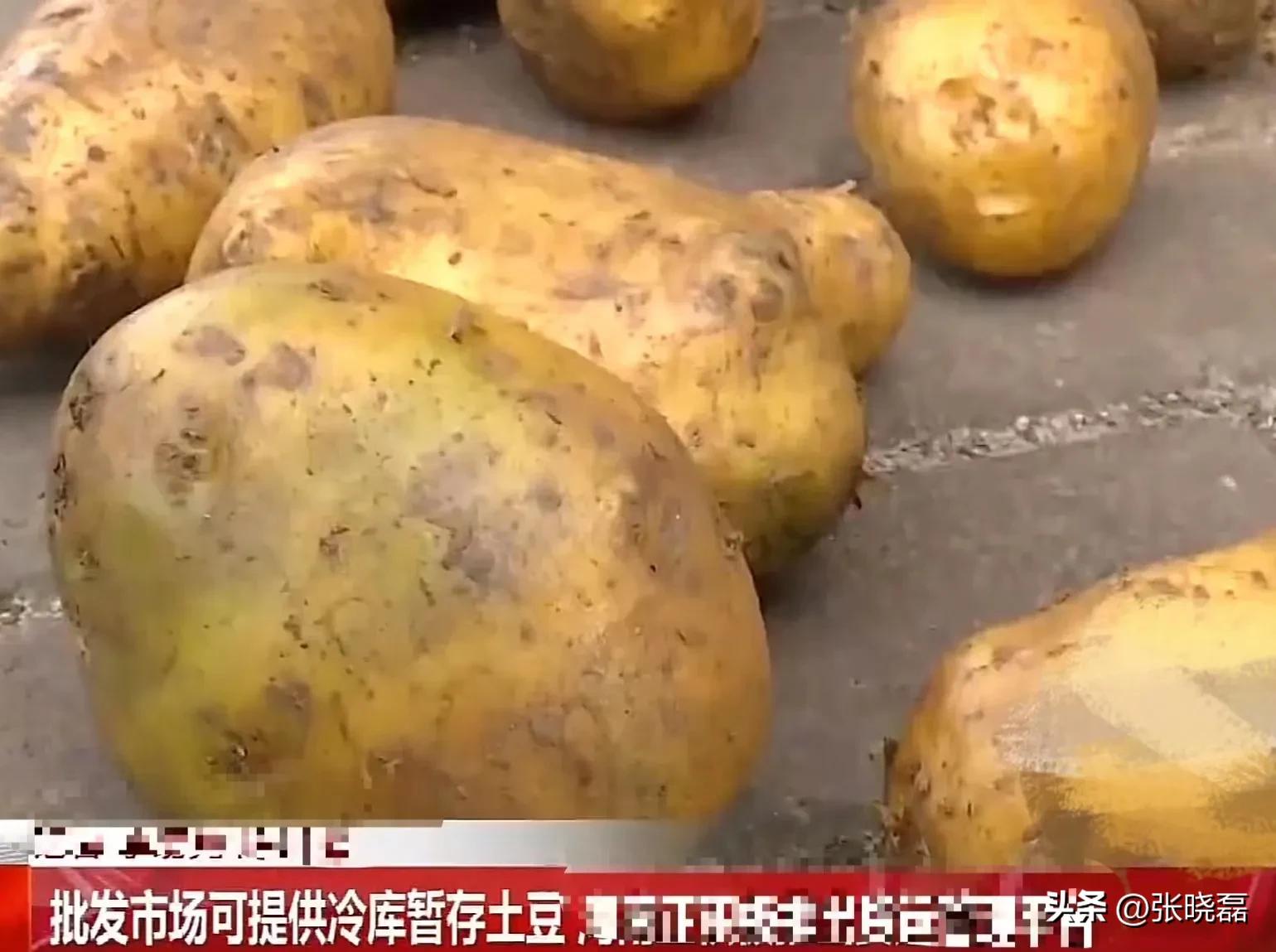 司机从甘肃拉一车土豆到海南,收货方拒收，也不付运费！司机：我不能白拉啊？收货方：没收货，凭啥付运费？