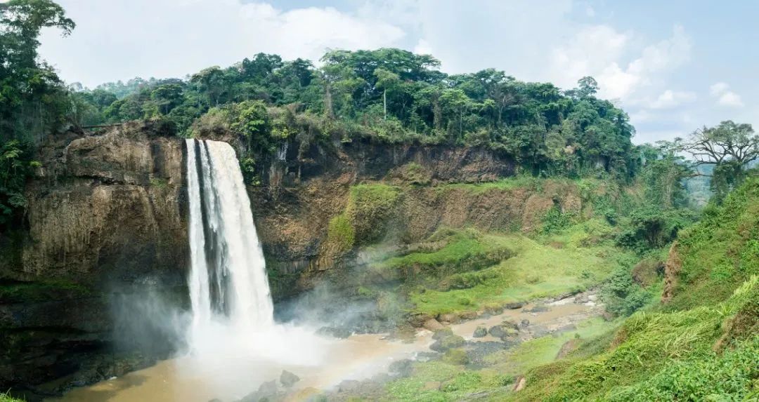 30分钟办好家庭津贴档案，数字化提高喀麦隆社保服务质量