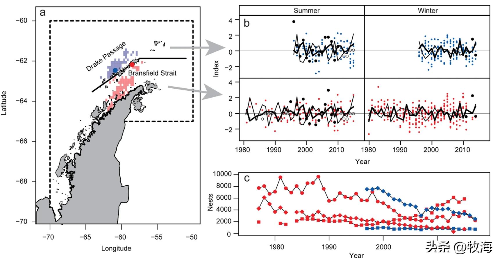 南极磷虾船最新消息,南极磷虾大爆发