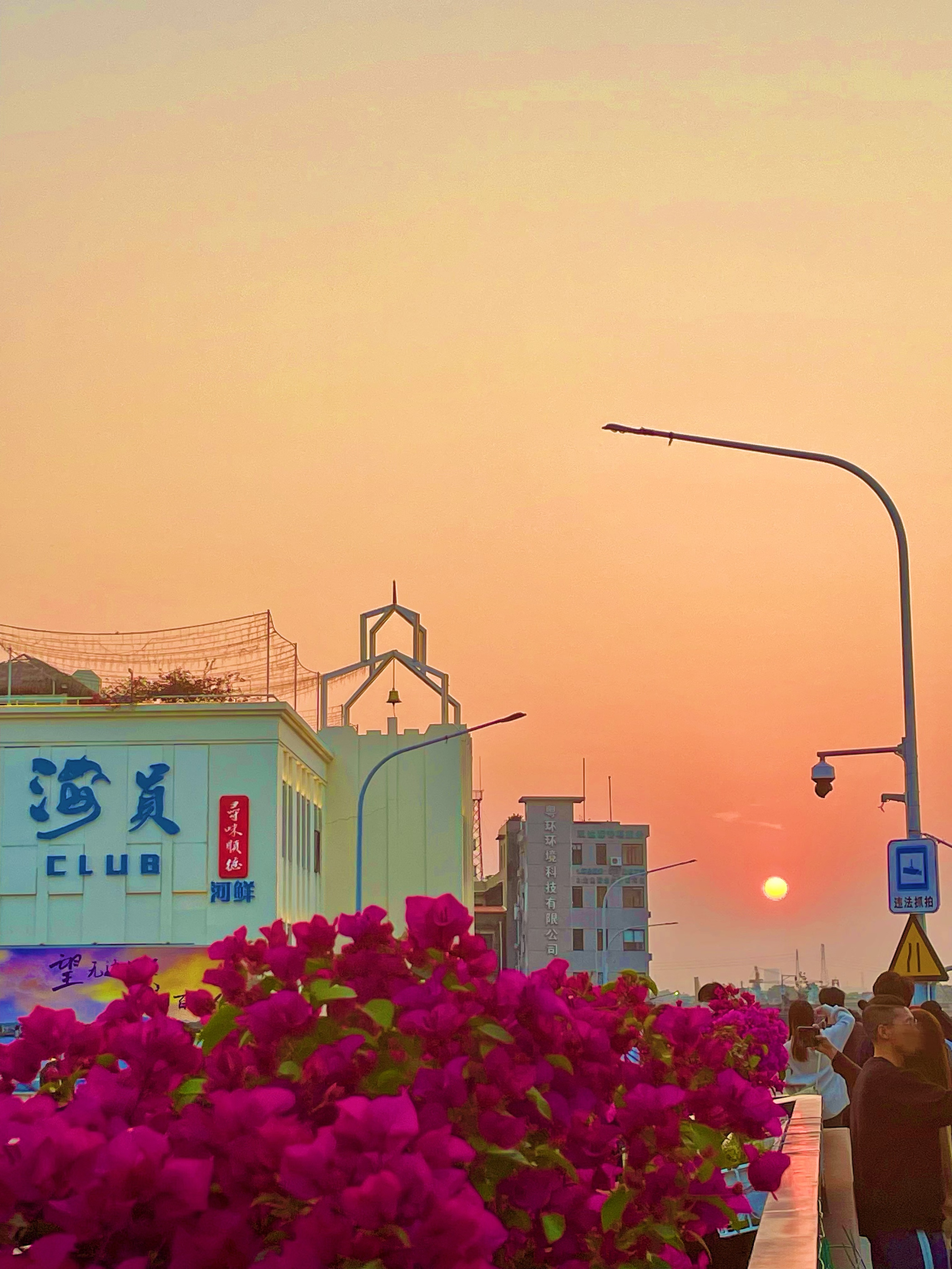 顺德渔人码头游玩攻略,顺德游玩攻略景点大全