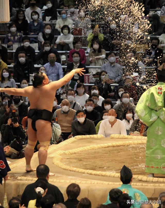 日本樱花花海浪漫之旅,日本旅游看樱花之旅攻略
