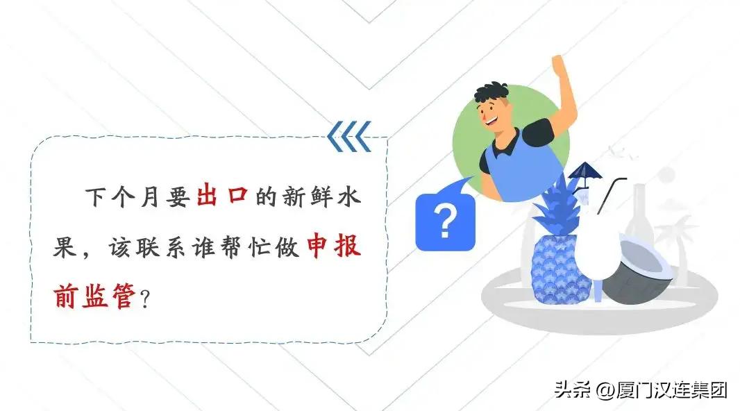 进出口商品贴标签要注意什么,进出口货物申报办事指南