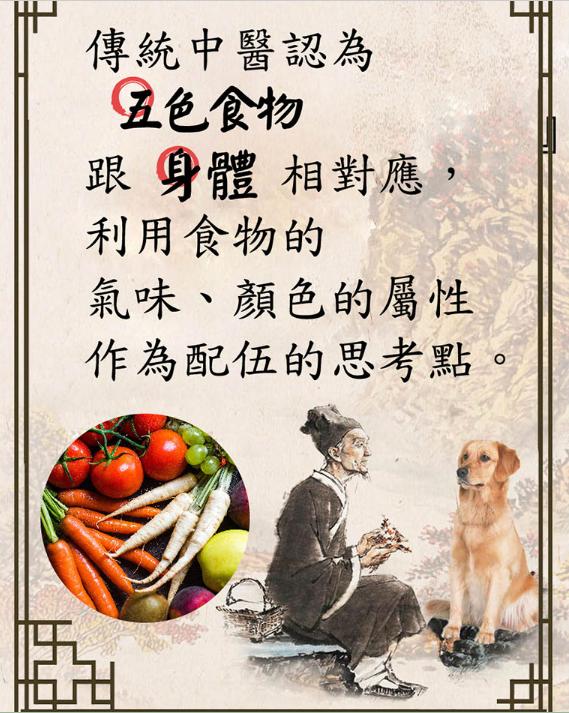 给狗做针灸的视频,带狗去针灸