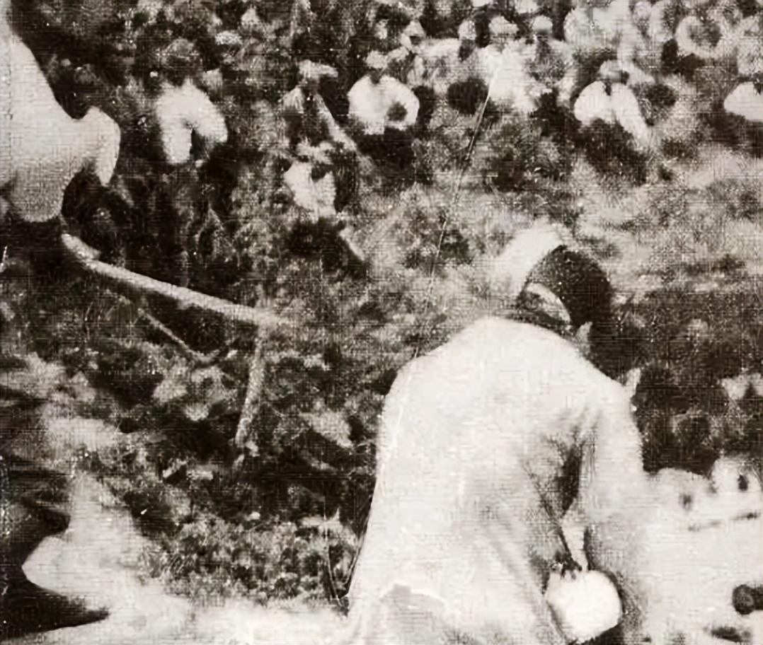 变态的纳粹德国，*光脱**犹太人女人衣服，集体*杀屠**!,2