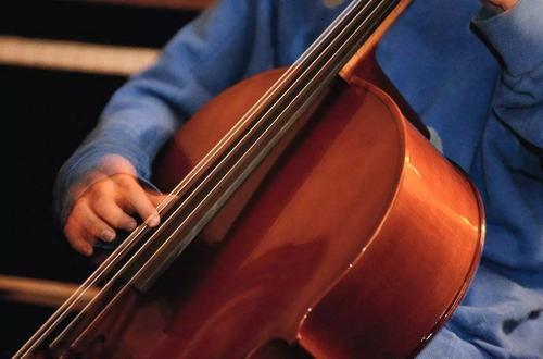 大提琴的定弦教学零基础,如何给大提琴调弦