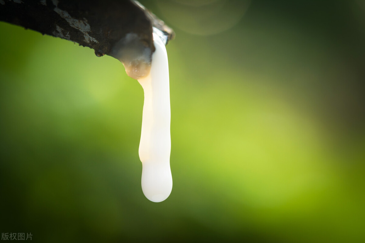 乳胶枕含有毒物质,不仅过敏还致癌?危害有多大?医生说出了真相