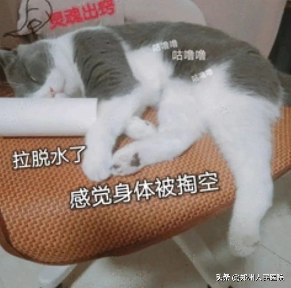 一喝牛奶就拉肚子吃什么药,巴氏消毒的牛奶一喝就拉肚子