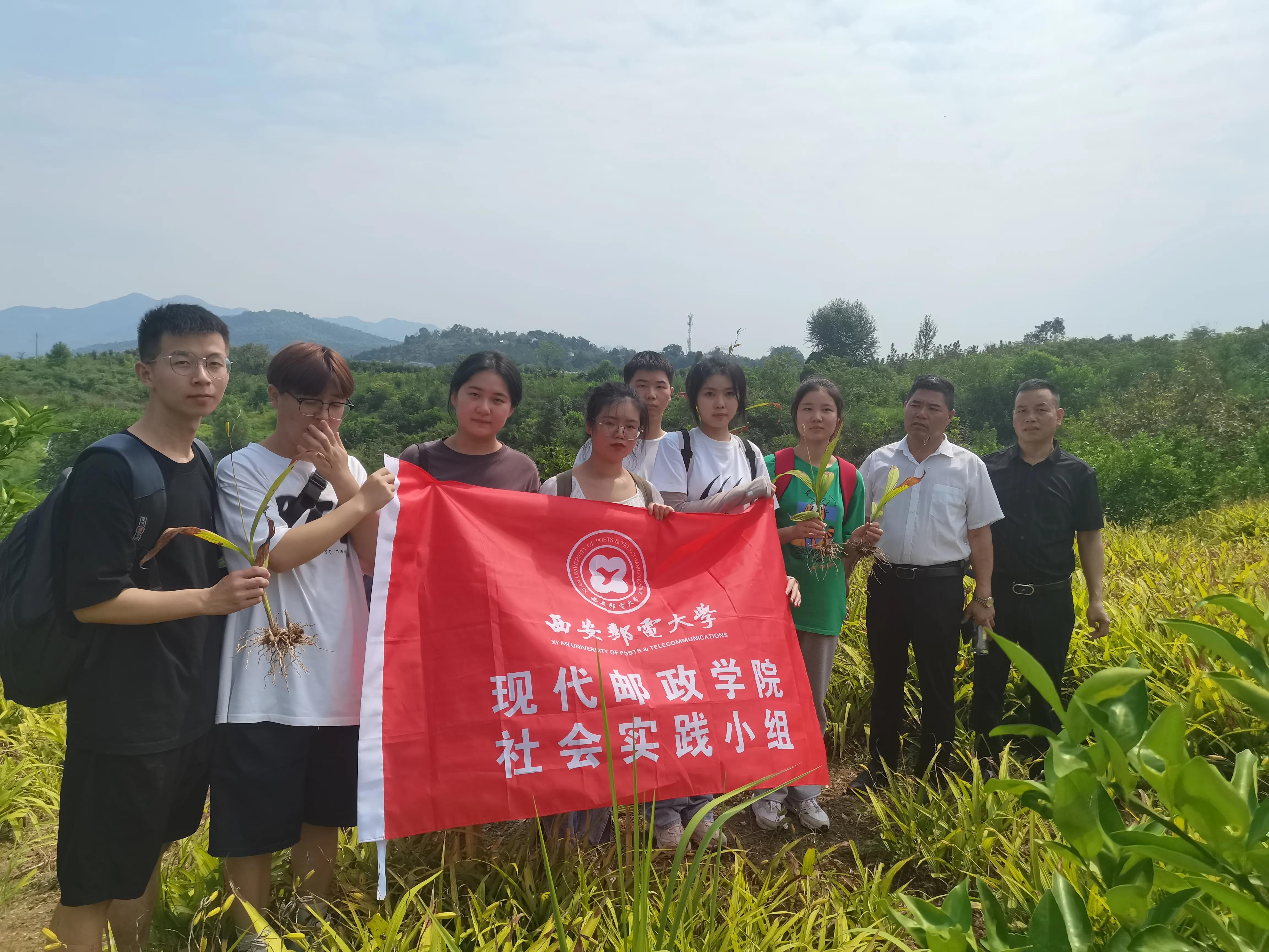 红色文化助力乡村振兴,红色光芒照耀着乡村教育