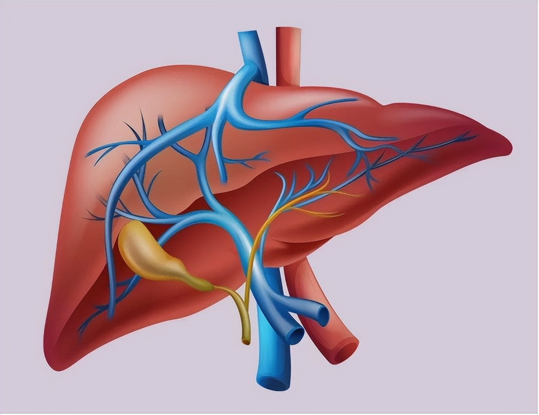 低密度脂蛋白高的2个解决办法,低密度脂蛋白偏高怎么才能降下来