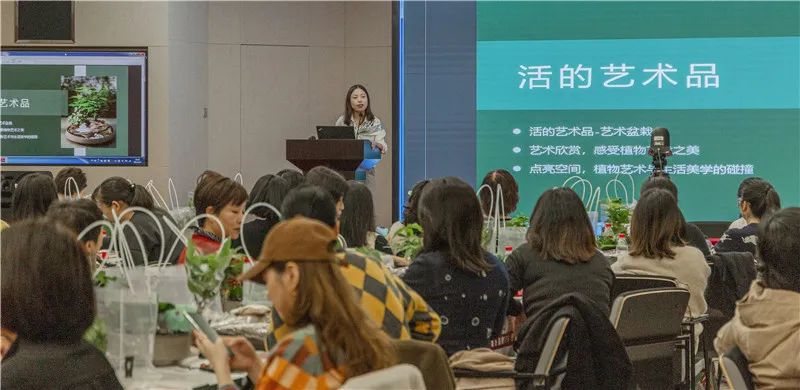 从小花店到年入900万元园艺名企，看温州绿趣的两次转型