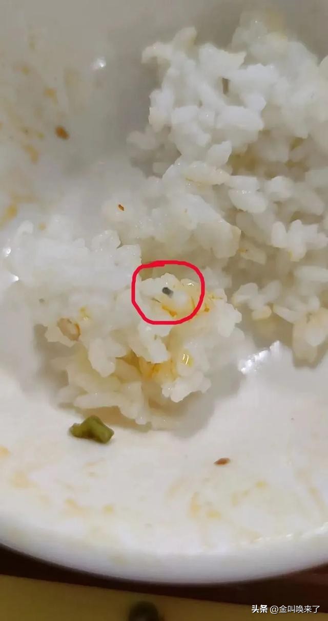 形象碎了一地!“啤酒大王”成都公司的食堂火了