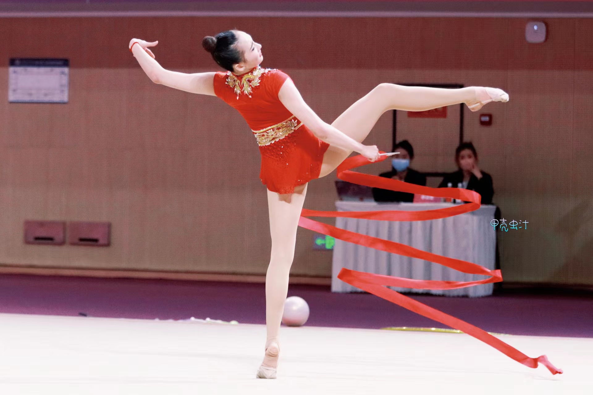 王子露获奖了吗,王子璐夺金