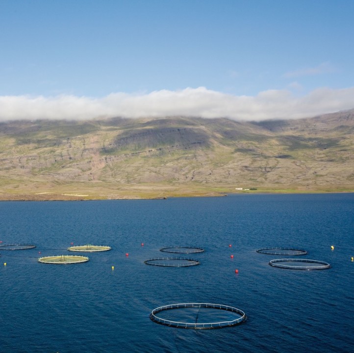 市面上大部分二氧化氯都是假的,如何鉴定二氧化氯