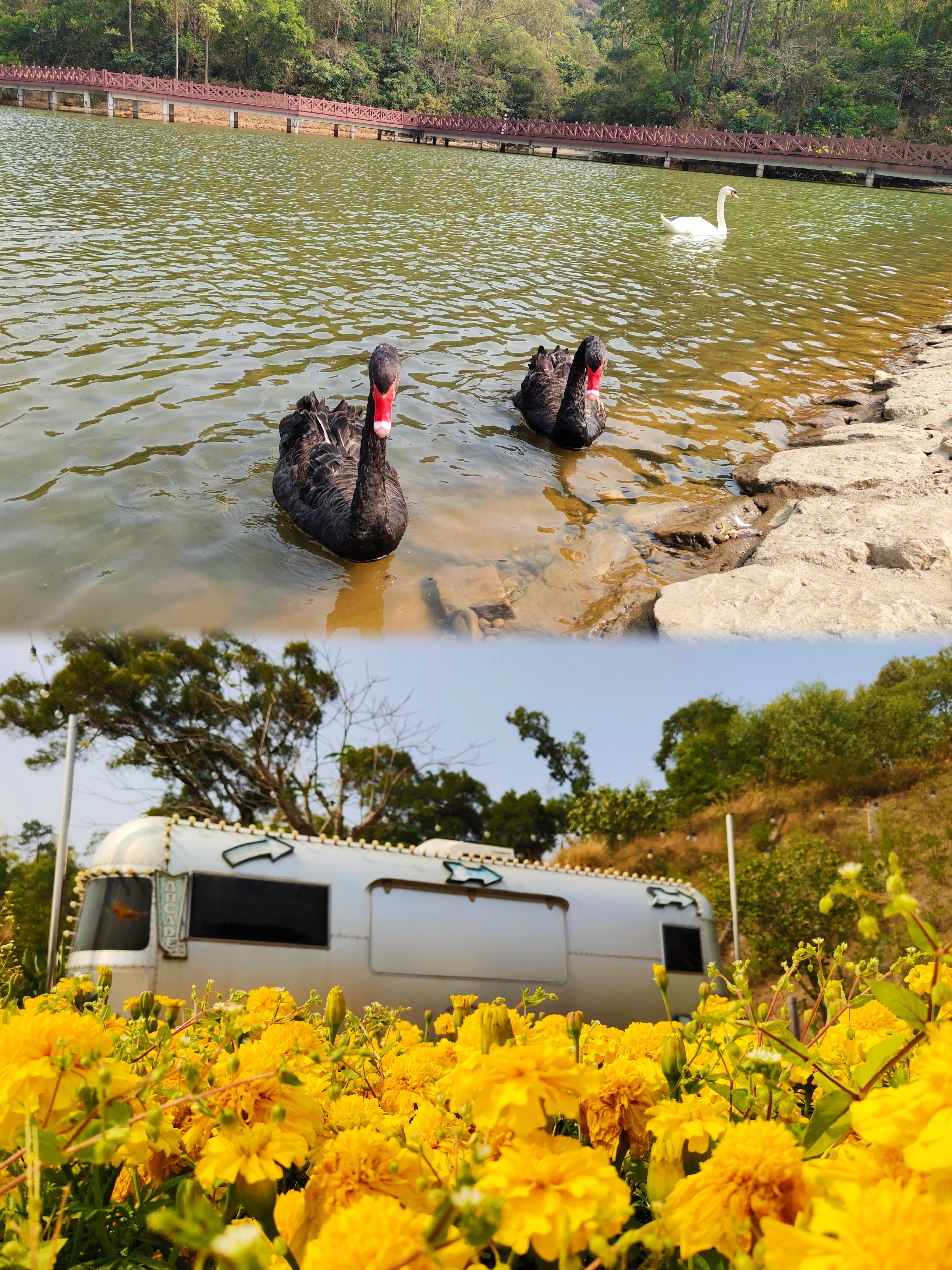 珠海1日游最佳路线攻略,珠海1日游最佳路线推荐