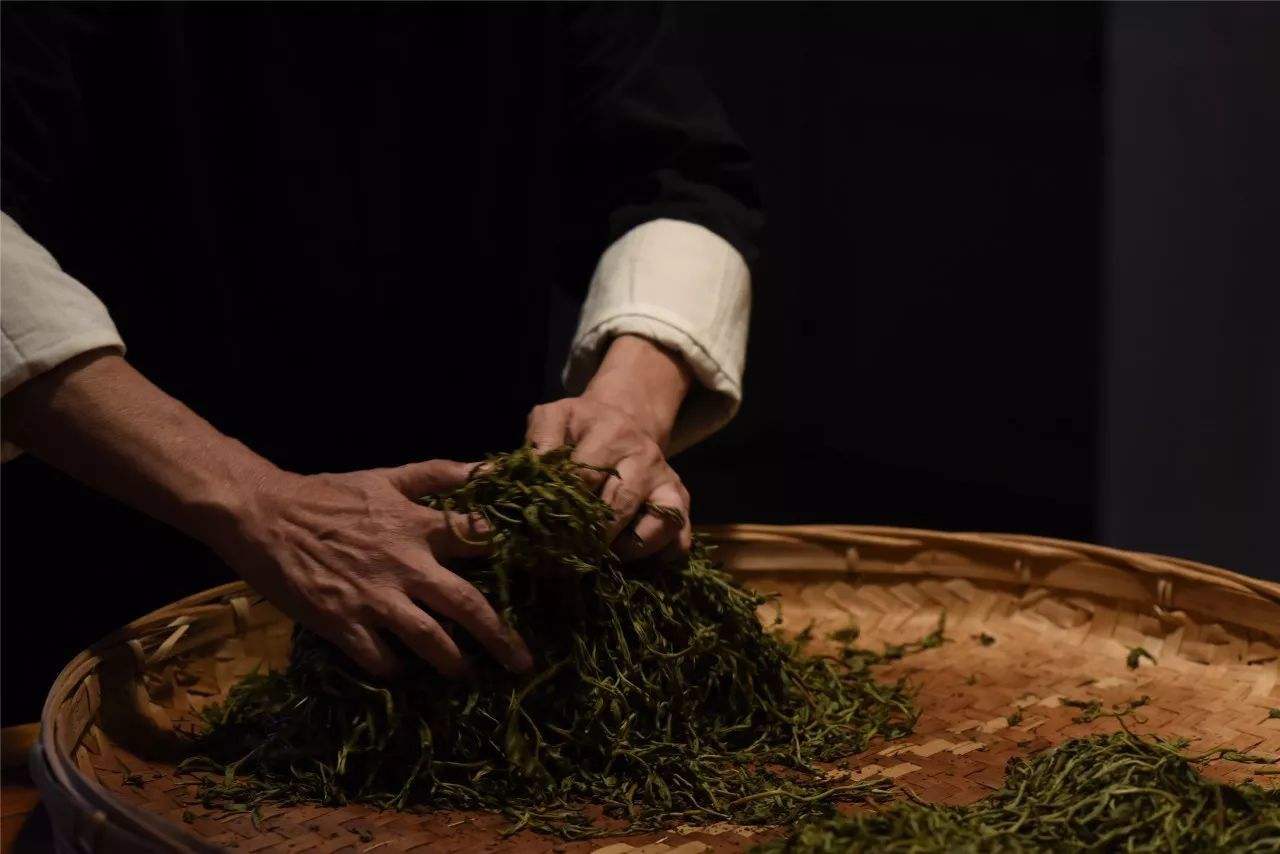 关于绿茶的16个冷知识你了解吗,绿茶的十大神奇功效你知道吗