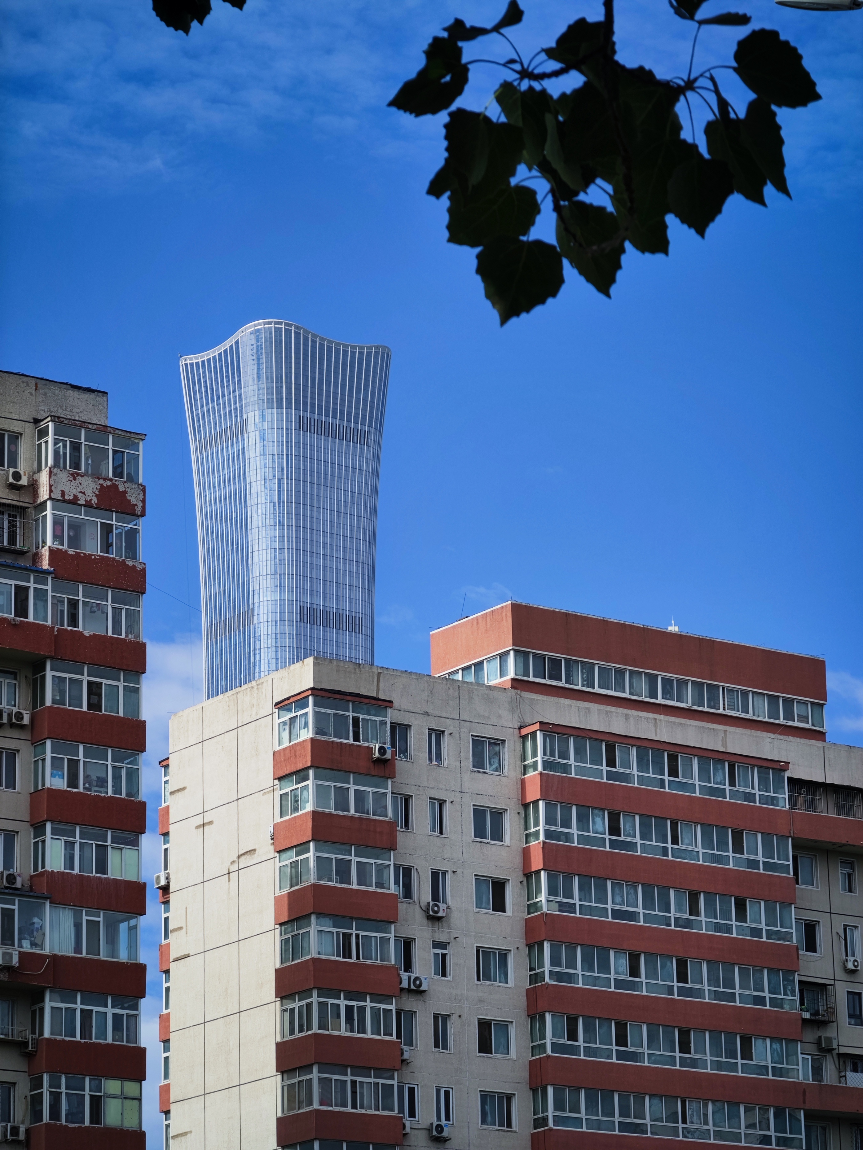 高考志愿选择高薪职业,高考报志愿和毕业找工作建议