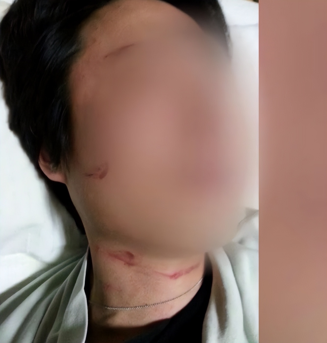 赵显娥让空姐下跪道歉视频,赵显娥逼停飞机事件