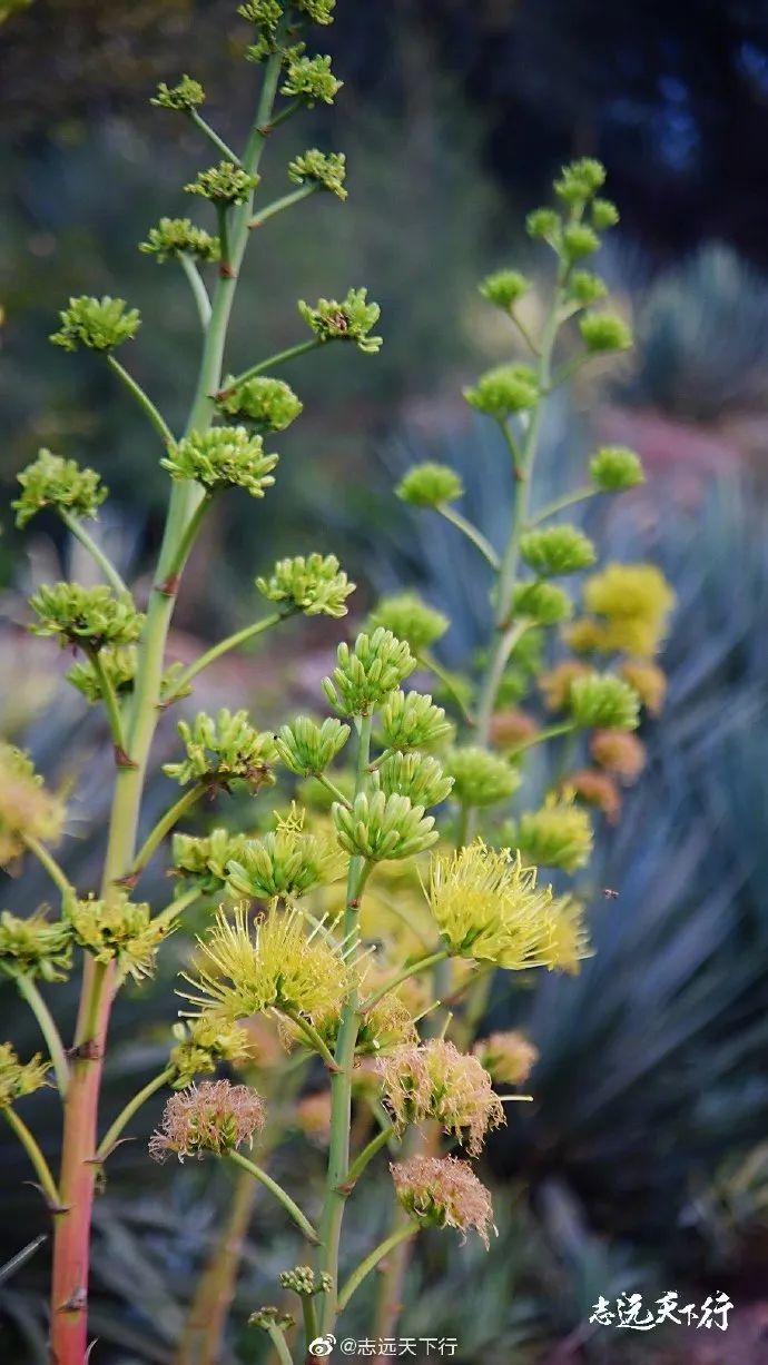 【闽山闽水物华新】又挖到宝藏旅游线路了！这份厦门两天一夜游玩攻略你一定要收藏！