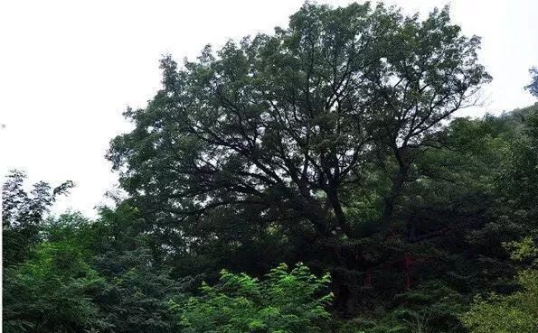 河北冷门景区排名,河北附近五一出游冷门城市